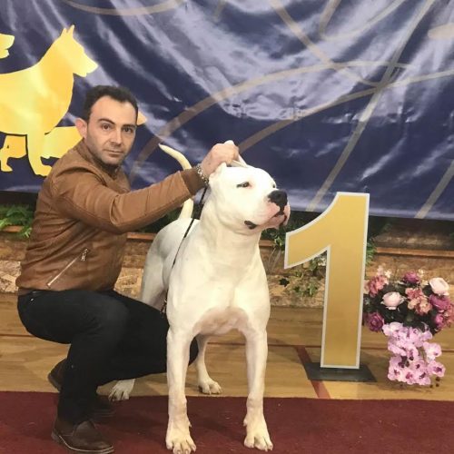 Νικόλαος Δημούλας